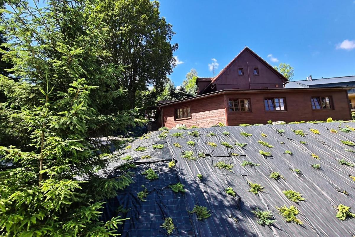 Penzion Harry Na Sjezdovce Krkonose วีโซเก นาด ยิเซโรว์ ภายนอก รูปภาพ