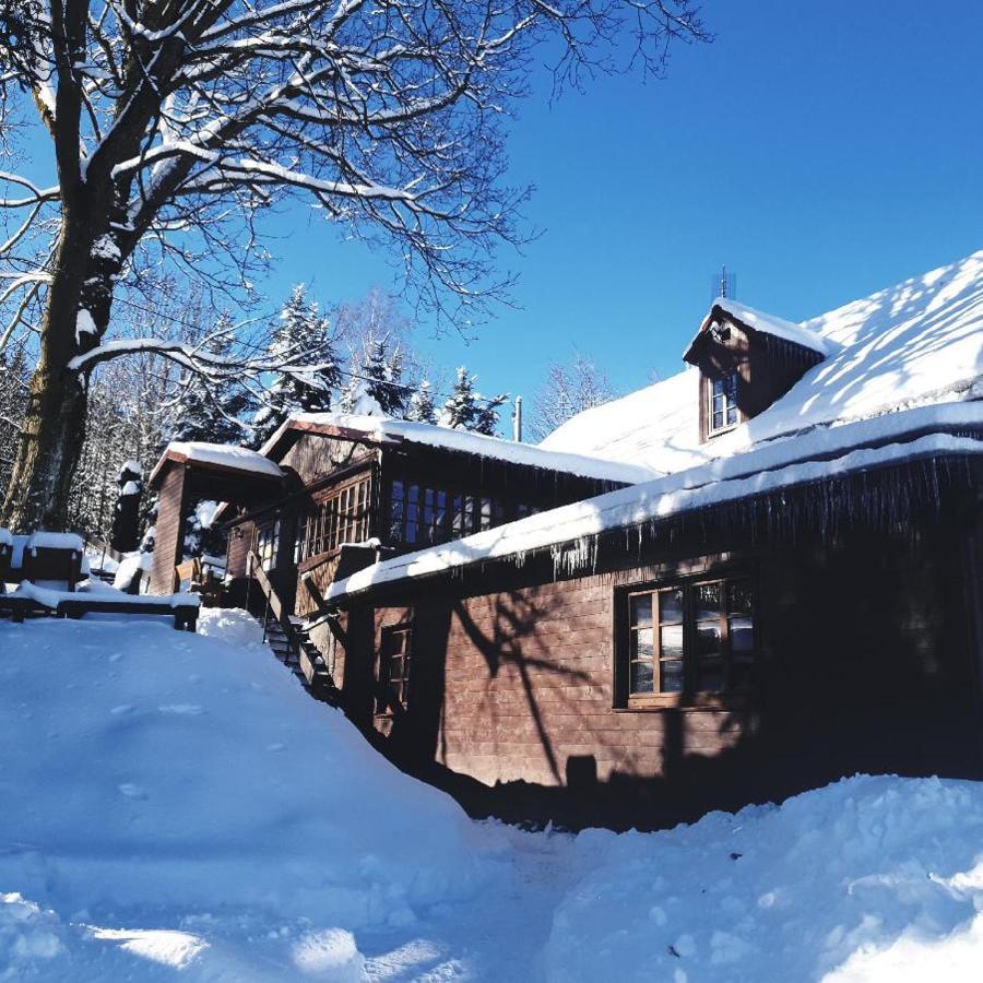 Penzion Harry Na Sjezdovce Krkonose วีโซเก นาด ยิเซโรว์ ภายนอก รูปภาพ