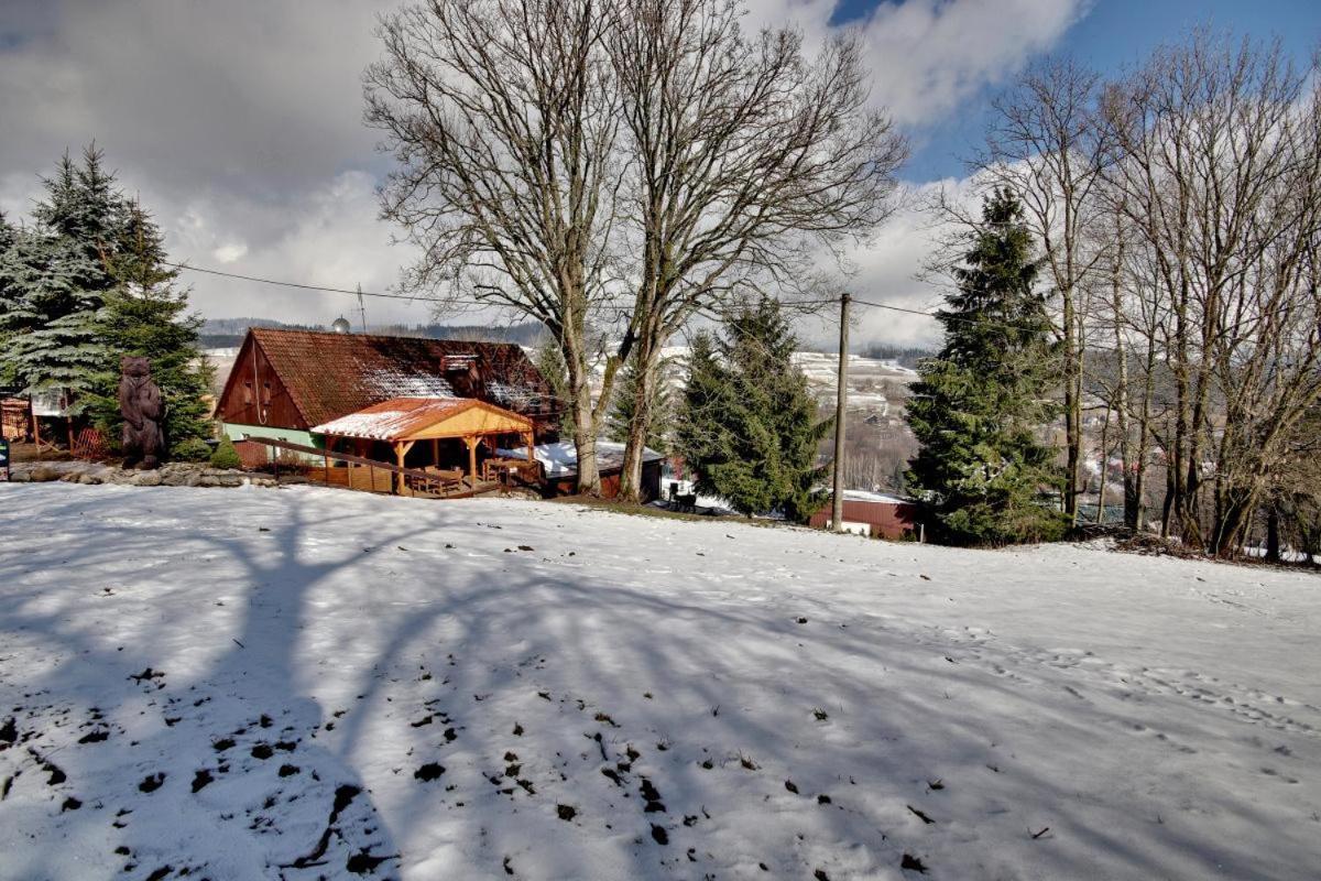 Penzion Harry Na Sjezdovce Krkonose วีโซเก นาด ยิเซโรว์ ภายนอก รูปภาพ